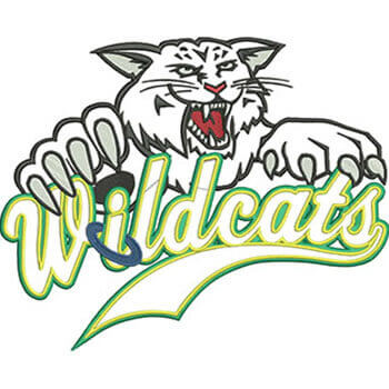 Wildcats sports team applique embroidery digitizing — mascot logo with script text for team jerseys USA